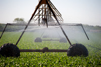20120521_agricultural_scenes_0005