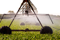 20120521_agricultural_scenes_0005