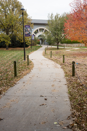 20171110 Fall Campus 7