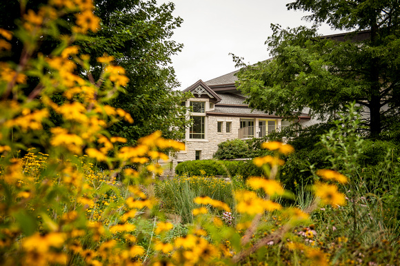 20150729_Beach_Museum_Meadows_0025