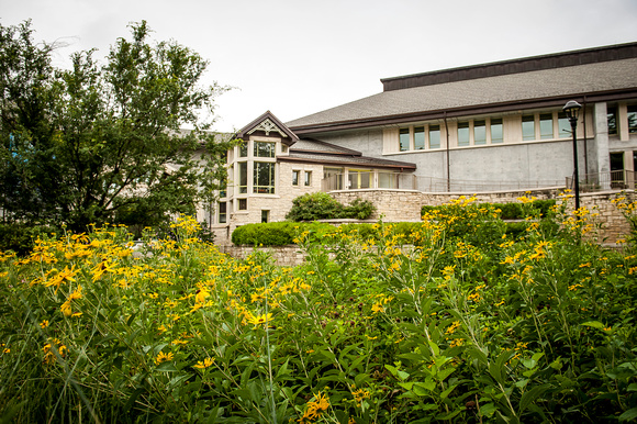 20150729_Beach_Museum_Meadows_0060