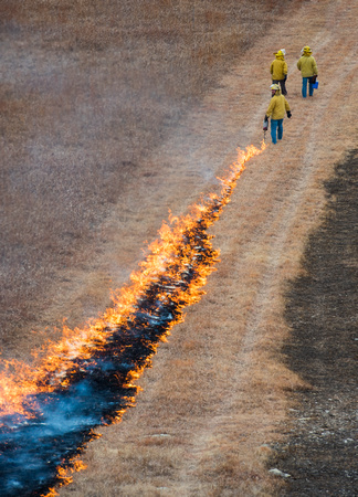 Konza Prairie Winter Burn